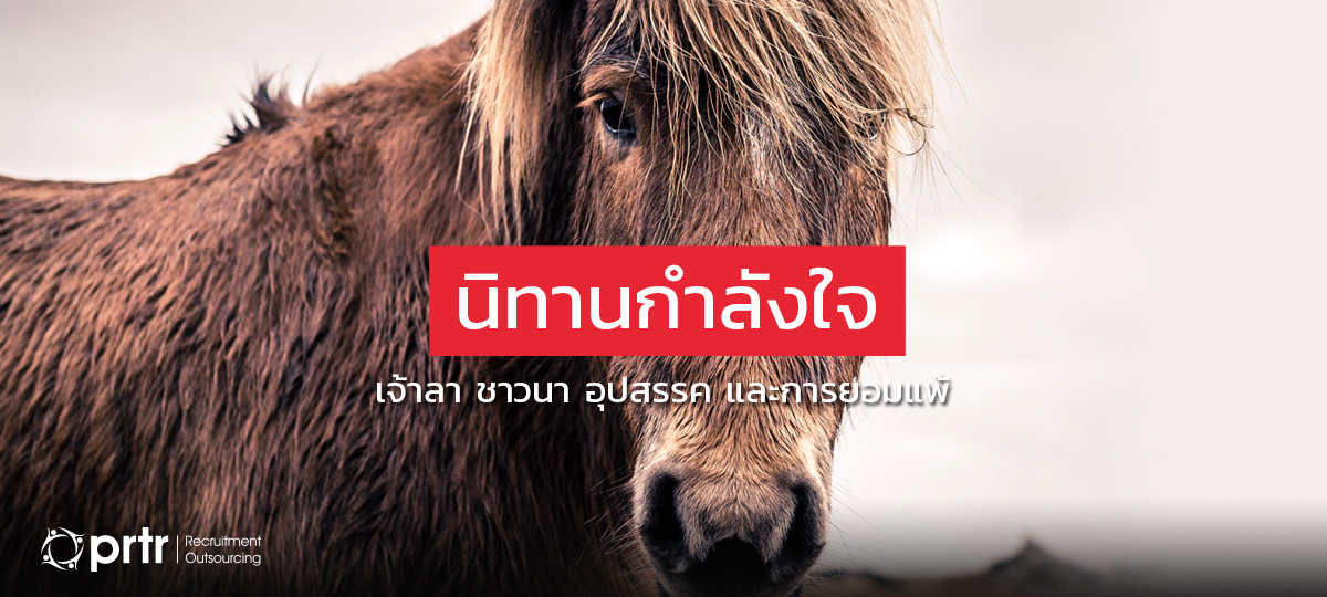 donkey_never_give_up